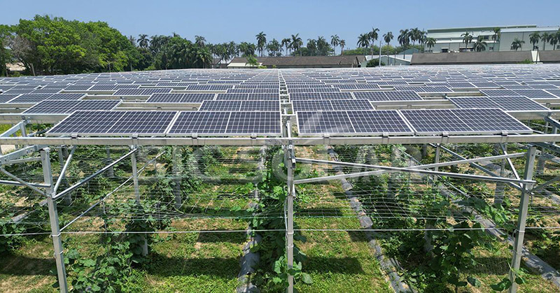 Khám phá quy mô lý tưởng của trang trại năng lượng mặt trời: góc nhìn mới nhất vào năm 2024